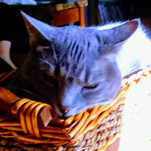 Meet your Posher, Aubree